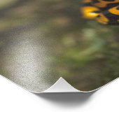 Gelbbinde Gift Dart Frog Dendrobates Fotodruck (Ecke)