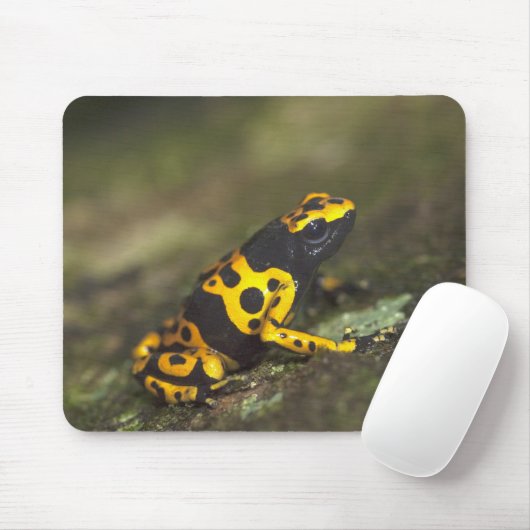 Gelbbinde Gift Dart Frog Dendrobates Mousepad (Mit Mouse)