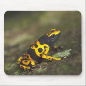 Gelbbinde Gift Dart Frog Dendrobates Mousepad (Vorne)