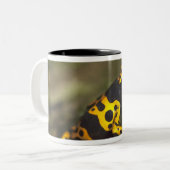 Gelbbinde Gift Dart Frog Dendrobates Zweifarbige Tasse (Vorderseite Links)
