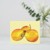 Gelbbirnfrüchte Postkarte (Stehend Vorderseite)