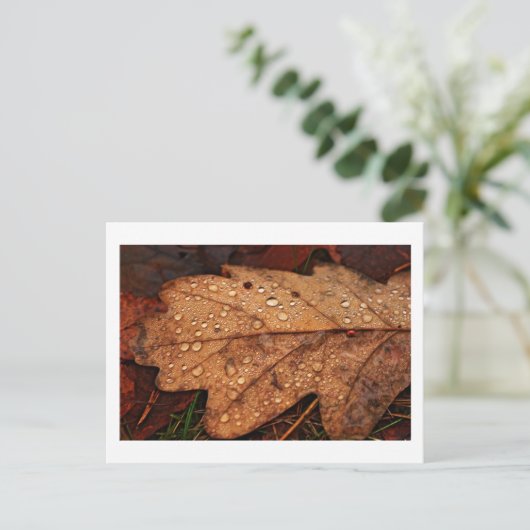 Gelbblätterpflaster Postkarte (Stehend Vorderseite)