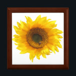 Gelbblume Erinnerungskiste<br><div class="desc">Orangenblätter aus einer gerbera daisy-Blume,  kreisförmig</div>