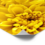 Gelbblumen, frisch Nah Poster (Ecke)