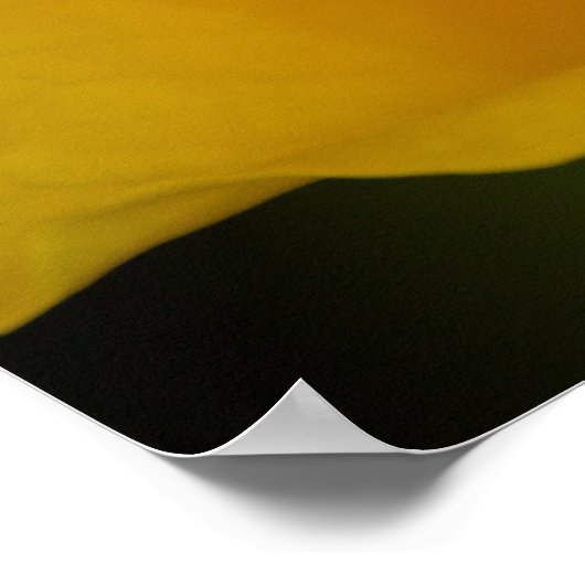 Gelbblüte Poster (Ecke)