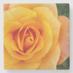 Gelbblüte Steinuntersetzer