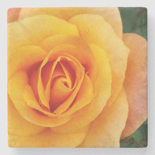 Gelbblüte Steinuntersetzer (Vorderseite)