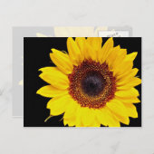 Gelbblütenblume Blume Postkarte (Vorne/Hinten)
