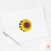 Gelbblütenblume Blume Runder Aufkleber (Umschlag)