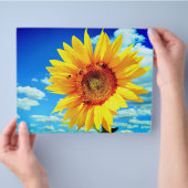 Gelbblütenblume Flyer (Hand)