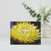 Gelbblütenblume Postkarte (Stehend Vorderseite)