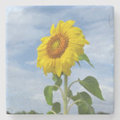 Gelbblütenblütenblume Untersetzer (Vorderseite)