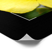 Gelbblütendruck Poster (Ecke)