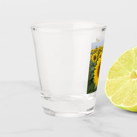 Gelbblütenernte Schnapsglas (Links)