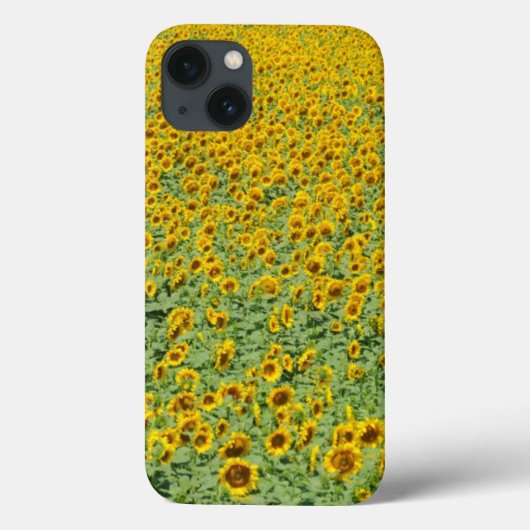 Gelbblütenfeld Case-Mate iPhone Hülle (Rückseite)