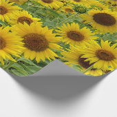 Gelbblütenfeld Geschenkpapier (Ecke)