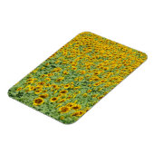 Gelbblütenfeld Magnet (Linke Seite)