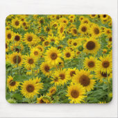 Gelbblütenfeld Mousepad (Vorne)