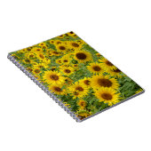 Gelbblütenfeld Notizblock (Rechte Seite)