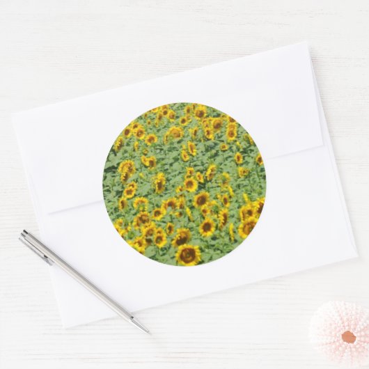 Gelbblütenfeld Runder Aufkleber (Umschlag)