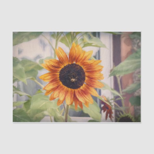 Gelbblütengarten Seidenpapier (Vorderseite)