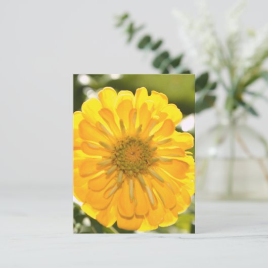 Gelbblütengelbe Blume Postkarte (Stehend Vorderseite)