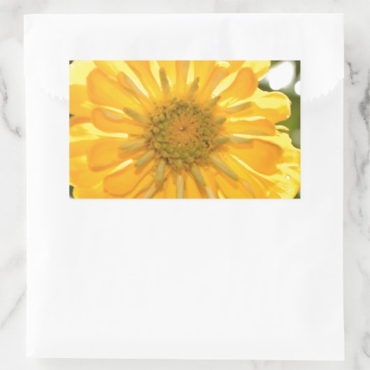 Gelbblütengelbe Blume Rechteckiger Aufkleber (Tasche)