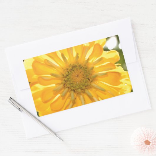 Gelbblütengelbe Blume Rechteckiger Aufkleber (Umschlag)