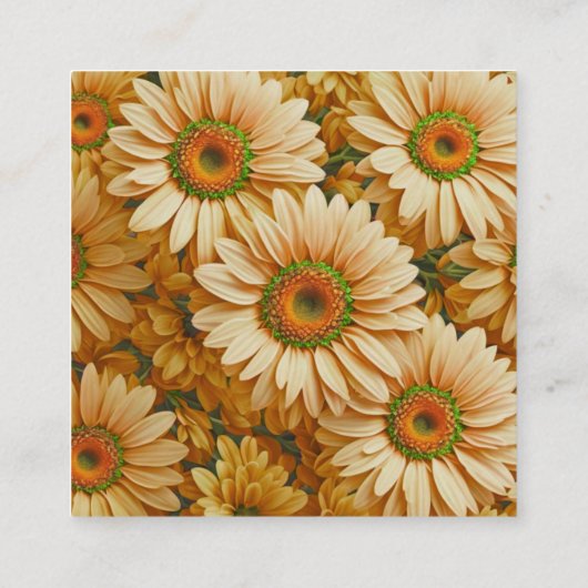 Gelbblütengelbe Gänseblümchen qr-Code Begleitkarte (Rückseite)