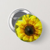 Gelbblütenknopf Button (Vorne & Hinten)