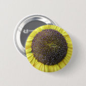 Gelbblütenknopf Button (Vorne & Hinten)