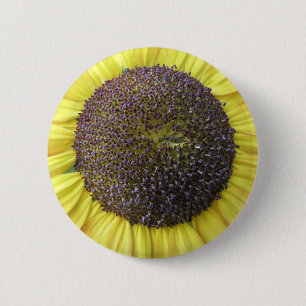 Gelbblütenknopf Button