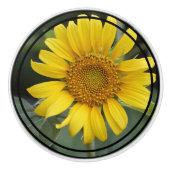 Gelbblütenknopf Keramik Keramikknauf (Vorderseite)