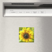 Gelbblütenmagnet Magnet (In Situ (Geschirrspüler))