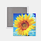 Gelbblütenmagnet Magnet (Vorderseite/Rückseite)