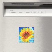 Gelbblütenmagnet Magnet (In Situ (Geschirrspüler))