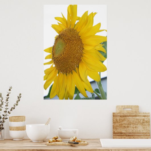 Gelbblütenmakro Poster (Küche)