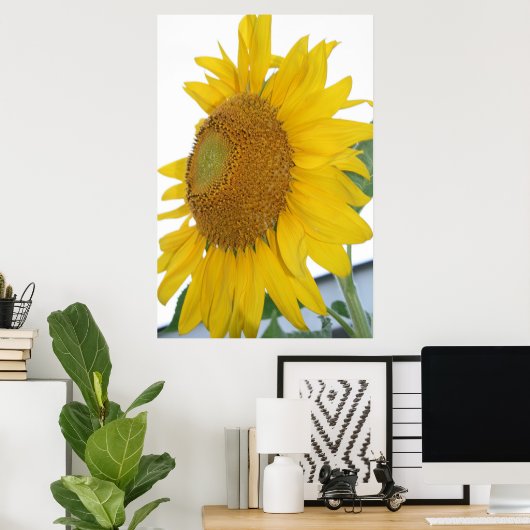 Gelbblütenmakro Poster (Heimbüro)