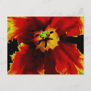Gelbbraun auf schwarzem Blumenmuster Postkarte