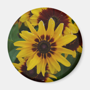 Gelbbraun-Blume-Magnet Magnet
