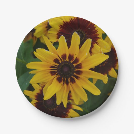 Gelbbraun-Blume Pappteller (Vorderseite)