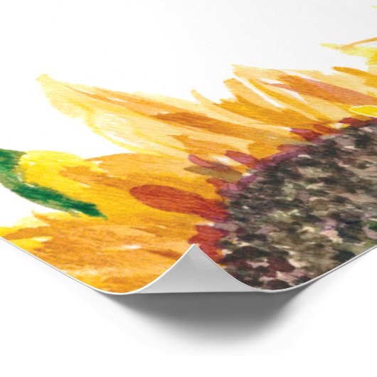 Gelbbraun-Sonnenblume Weiß, nicht eingeklemmt Hoch Poster (Ecke)