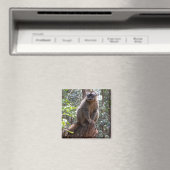 Gelbbraune Lemur Magnet (In Situ (Geschirrspüler))