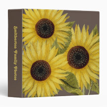 Gelbbraune Sonnenblumen Fotos