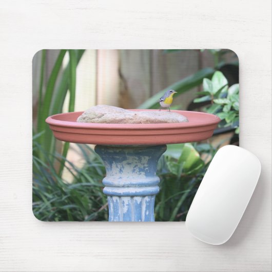 Gelbbrauner Finch bei Birdbad Mousepad (Mit Mouse)