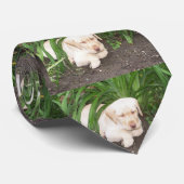 Gelbe 3 Labrador Krawatte (Gerollt)