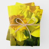Gelbe affodische Blume Geschenkpapier Set (Beispiel)