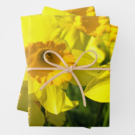 Gelbe affodische Blume Geschenkpapier Set (Beispiel)