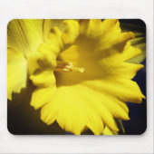 Gelbe affodische Blume Mousepad (Vorne)