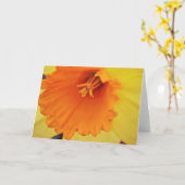 Gelbe affodische Blume Nah nach oben Karte (Gelbe Blume)